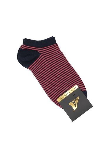 5'Li Paket Lacivert Üzeri Renkli Çizgili Kadın Patik Çorap Lacivert