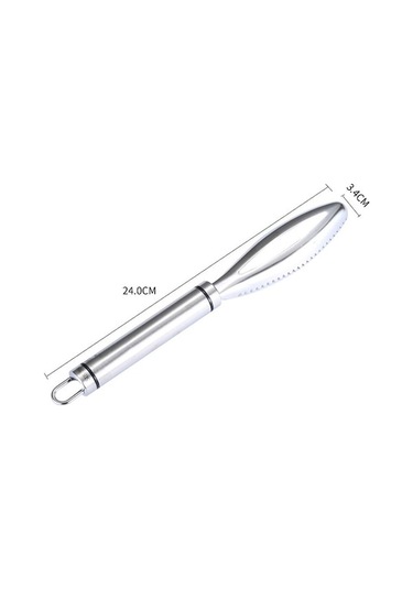 Pazly Cbtx Paslanmaz Çelik Balık Pulu Planya, Balık Pulu Sökücü Ev El Aleti Gümüş