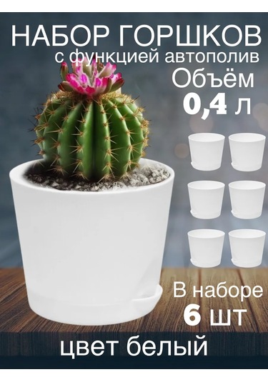 Interm Küçük Kaktüs Saksısı, Tabaklı, Saksı Seti 0,4 L 362274406