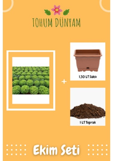 Arapsaçı Kıvırcık Marul Tohumu Ekim Seti