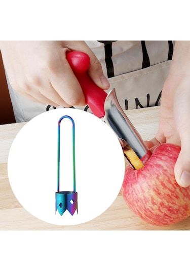 Homyl Paslanmaz Çelik Meyve Çekirdek Çıkarıcı Renkli