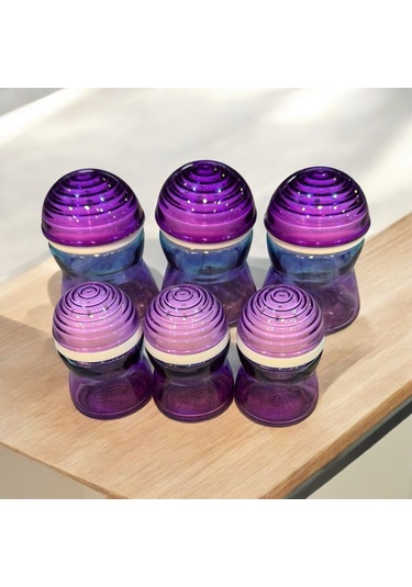Kapaklı Baharatlık Tuzluk - 6 Lı Baharatlık Seti 2 Boy Mor Kırmızı