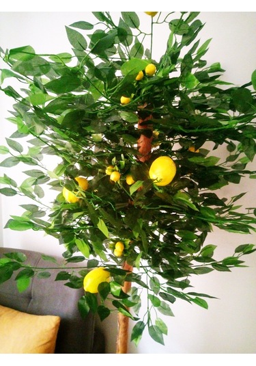 Yapay Sarı Limon Ağacı 1.70 Mt Boy Büyük Meyveli Gerçek Görünümlü