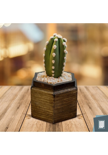 Kaf Ahşap Dekoratif Mini Saksı / Altıgen / Kahverengi