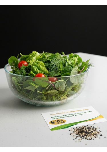 Sebze Tohumu - Taze Salata Yetiştirme Paketi 1 Adet