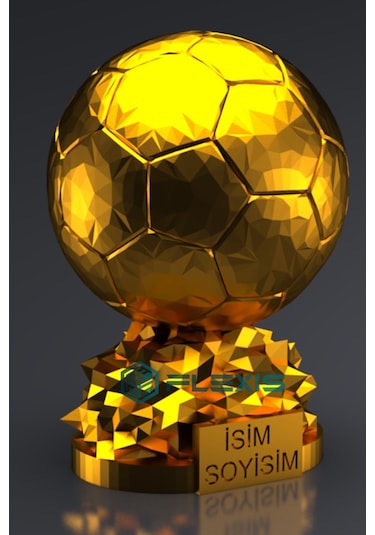 İsminize Özel Fıfa Ballon D'or Maketi Gold Kaplama 20 Cm Boy Dekor Hediyelik