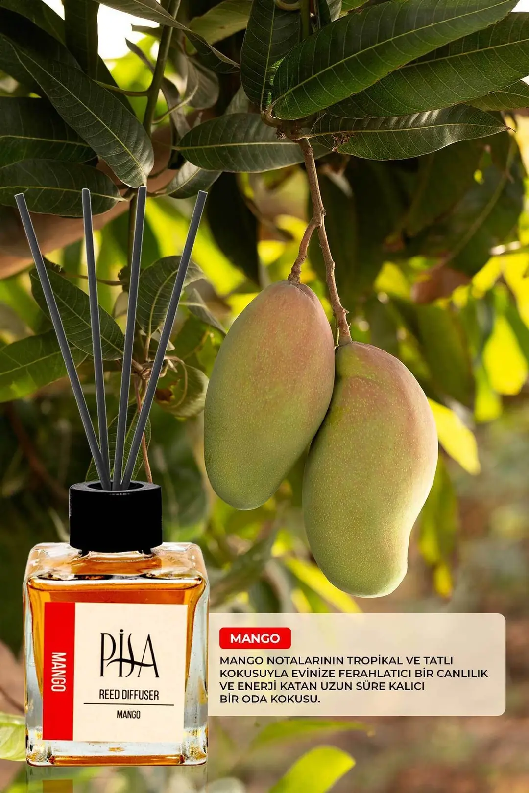 Pisa Mango Çubuklu Oda Kokusu Reed Diffuser 100ml