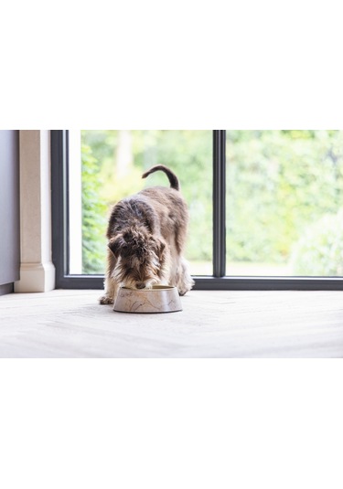 Beeztees Dbl Köpek Mama Su Kabı, Mat Altın Rengi Paslanmaz Çelik, Bej Mermer Görünümlü, 14cm, 160ml