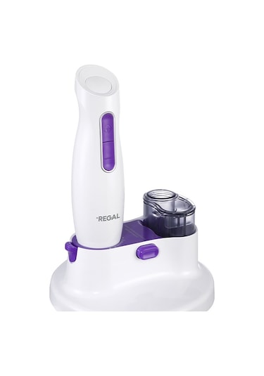 Regal RMBS 1000 B Multi Blender Set