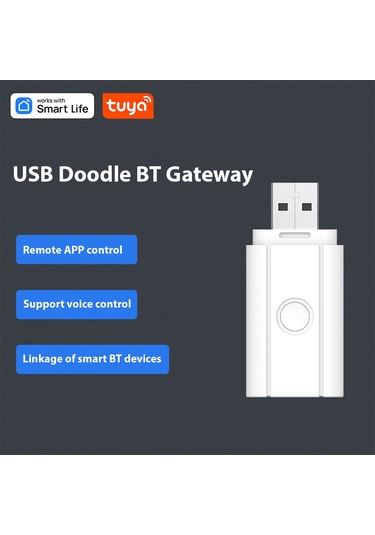 Akıllı Ev Bt Ağ Geçidi Merkezi Kontrol Sistemi Taşınabilir Hs7869