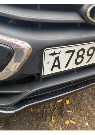 Kriart Plaka Etiketi "köpekbalığı" Place This On All Plaka Etiketi Sticker Art Locally Place This On All Sticker Art