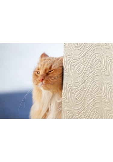 Tink 3d Kendinden Yapışkanlı Akustik Keçe Panel Dalgalı Desenli 52x98 Cm 10 Adet 5 M² Ekru Tink 3d Kendinden Yapışkanlı Akustik Keçe Panel Dalgalı Desenli 52x98 Cm 10 Adet 5 M² Ekru