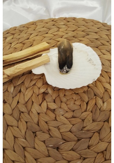 Palo Santo Nazar A Doğal Tütsü Pala Santo 2 Adet Ağaç Tütsü İstiridye Palosanto Luk İle Beraber Hex