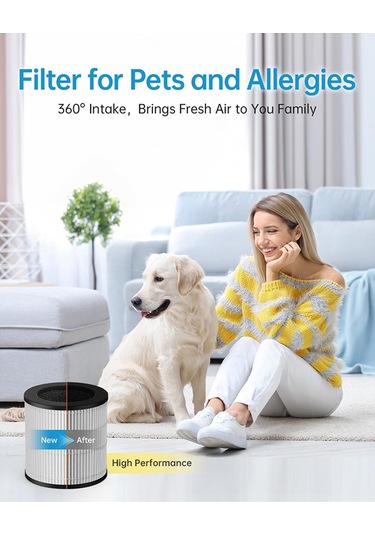 Xiaaokeji Mooka Ve Vewıor Hava Temizleyici İçin 2 Paket B-d02l Yedek Filtre