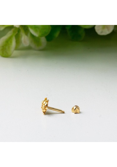 14 Ayar Altın Kaplumbağa Tragus Küpe Kphsy14k22502 Sarı
