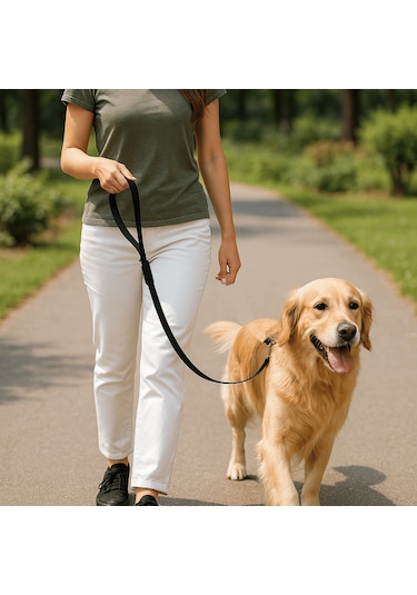 Beylini Dayanıklı Köpek Gezdirme Kayışı Metal Tokalı Siyah 150cm