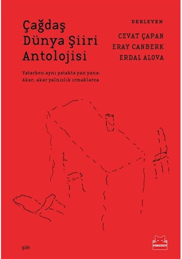 Çağdaş Dünya Şiiri Antolojisi