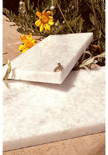 Yıldız Star Tasarım Zirkon Taşlı Şık Altın Renk Çelik Piercing Tragus Helix Stainless Steel Altın