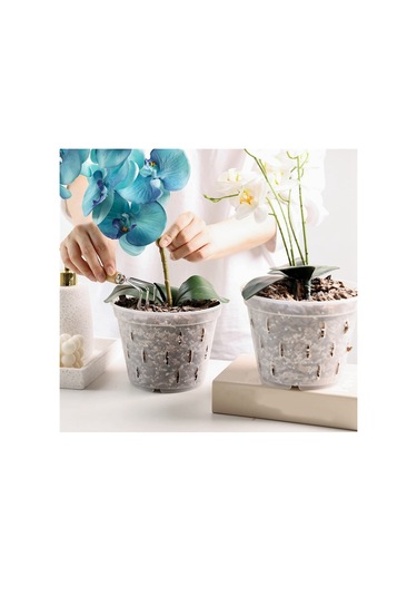 Orkide Saksıları- 7 İnç- 5 Saksı Ve Tabak, Orkide Saksıları