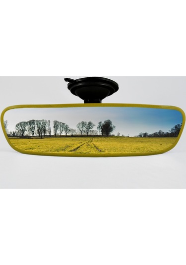 Pırlanta-4 Vantuzlu Universal Dikiz Aynası 21X6 Cm 6 Renk