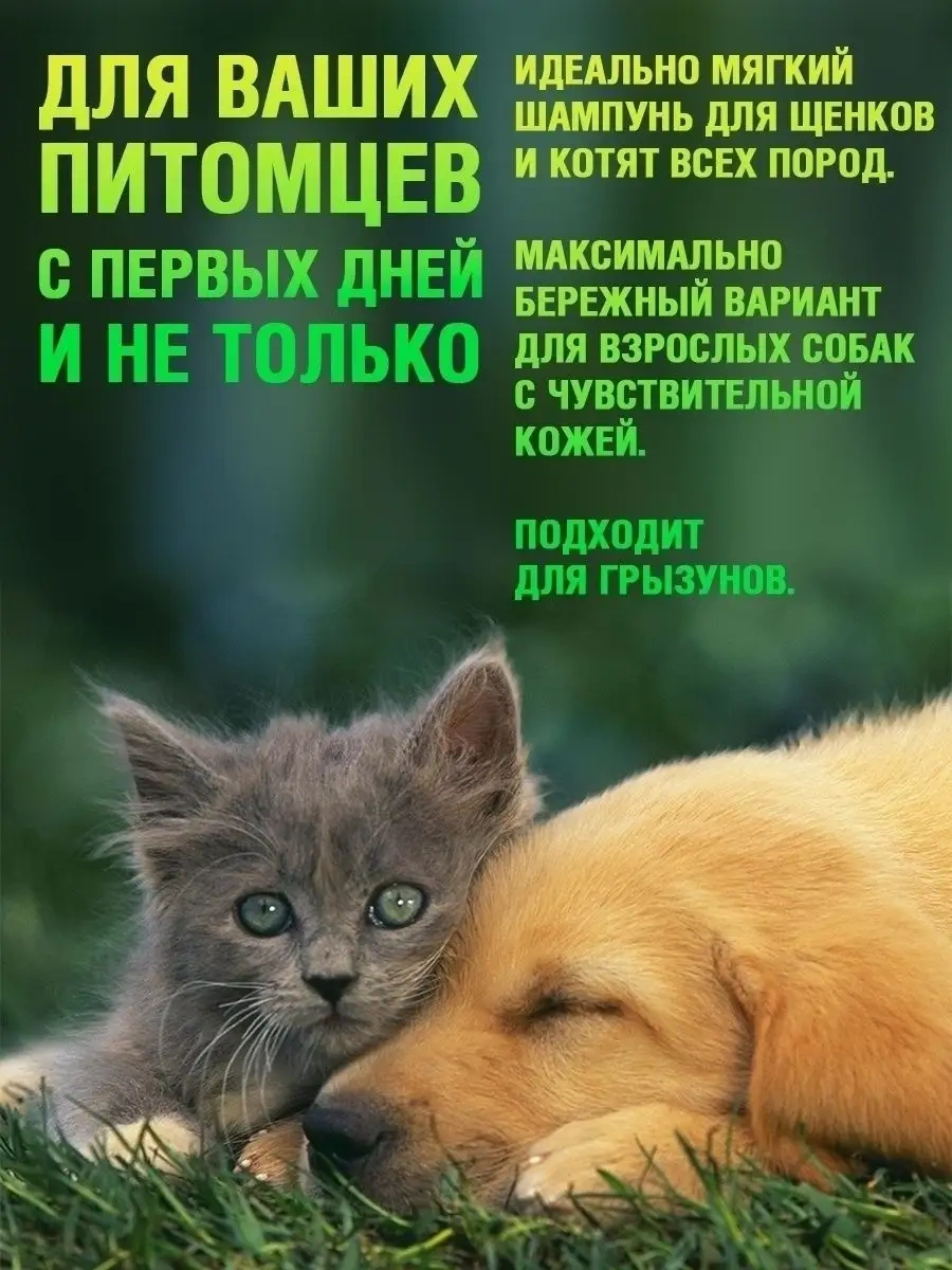 Ecozavr Sls/sles İçermeyen Yavru Köpek Ve Kediler İçin Eko Shampoo 0,5l 51300261