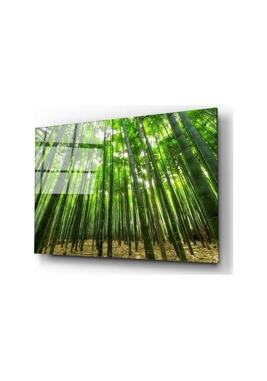 Bambu Ağaçları Cam Tablo