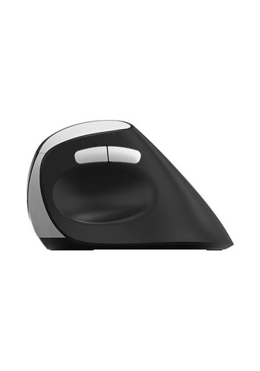 Rapoo Mouse Ev250 2,4 Ghz Kablosuz Optik - Siyah