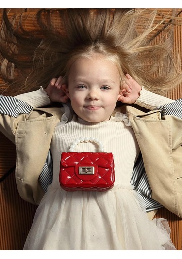 Monıce Küçük Mini Çanta 235623786 Bordo