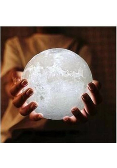 Dempower 5 Renk Orta Boy Ay Lambası Asorti