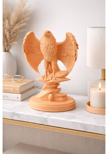 Modern Kartal Biblo 1