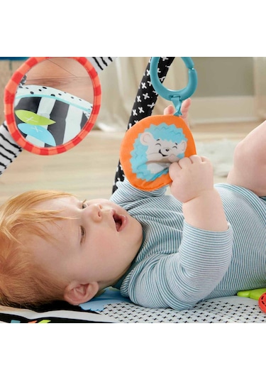 Fisher-Price HBP41 Neşeli Hayvanlar 3'ü 1 Arada Jimnastik Merkezi