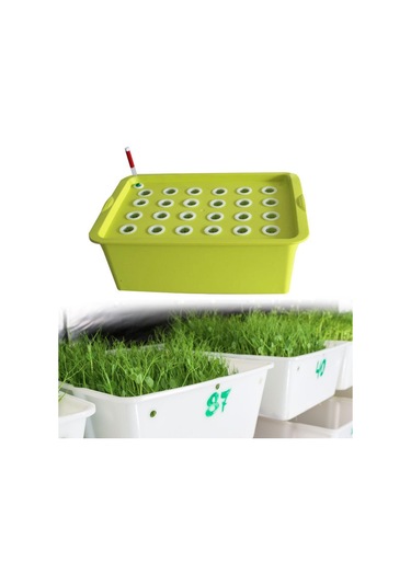 Suntek 24 Site Fidanlık Saksıları Parterre Bahçesi Yeşil