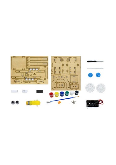 Ece Yürüyen Yük Taşıyan Robot Yapma Deney Seti Boya Seti İle Demonte