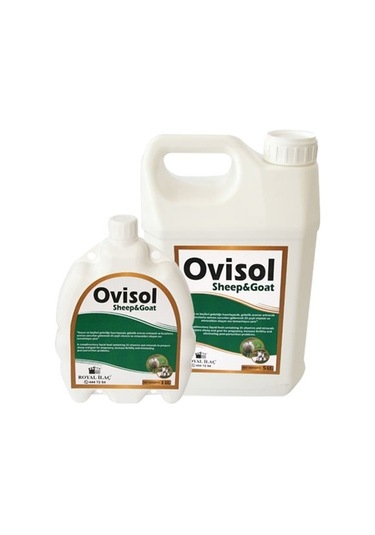 Royal İlaç Ovisol Sheep&goat Koyun Ve Keçi Yem Katkısı 5 Lt