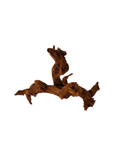 Neevoyu 25-30cm Doğal Akarsu Odunu, Akvaryum Dekorasyonu, Sürekli Kullanım, Yaratıcı Peyzaj, Hayvan Barınma, Ev Bahçe Dekoru Tek Parça