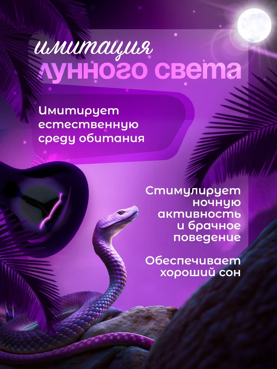 Bravus Terraryum Kaplumbağaları İçin 50w Fito Işıklı Gece Lambası 320422162