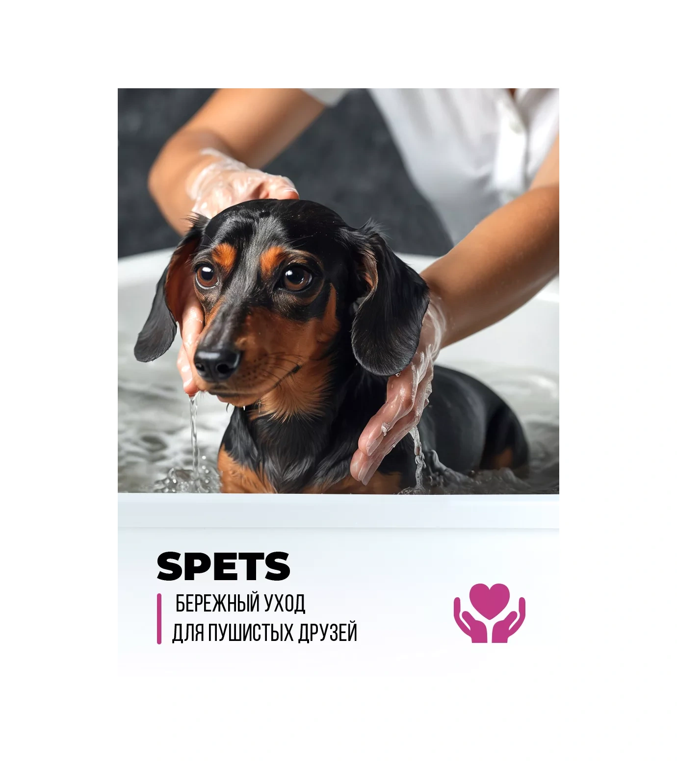 Spets Köpekler İçin Hipoalerjenik Kısa Tüy Şampuanı 1l 164158697