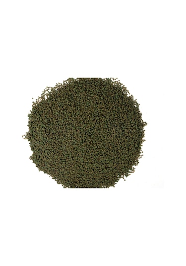 Tropheus Veggie Chips 1000ml Bitkisel Algae Spirulina Balık Yemi