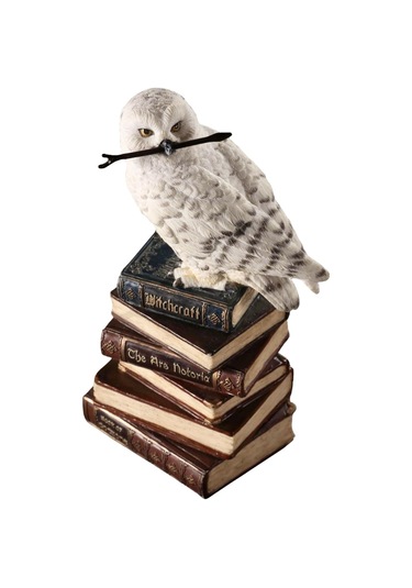 Kitap Yığını Üzerindeki Sihirli Değnekli Hedwig Kar Baykuşu Biblosu / Küçük Boy