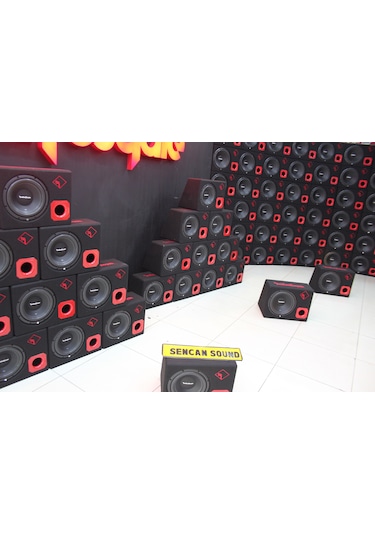 Rockford Fosgate R1-10 - Amerikan Ürünü