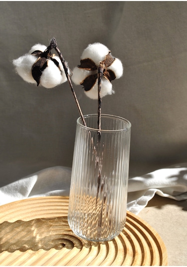 1 Adet Cam Mini Vazo 14 Cm Dekoratif Vazo-hawaii 14x6 Cm