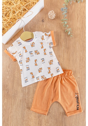 Sevimli Dostlar 2'li Yazlık Erkek Bebek Takım 001