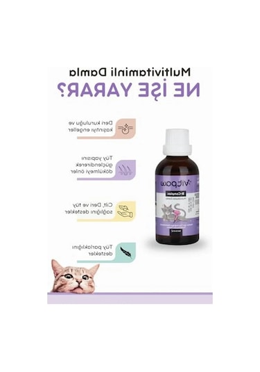 50 Ml B Complex Damla Kedi Tüy Sağlığı İçin