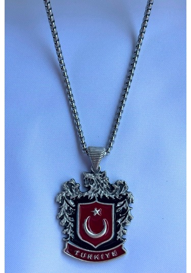 Türkiye El İşçiliği Paslanmaz Çelik Zincir Erkek Kolye Gümüş