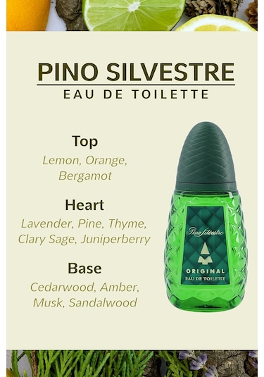 Pino Silvestre Original Erkek Parfüm EDT 125 ML