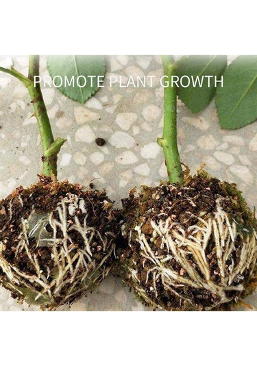 Dianziye Küçük Siyah Abs Bitki Kök Çıkartma Kutusu - Enkaz Ve Çiftleme İçin Ev İçi Kökleyici Aracı