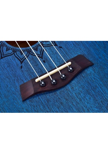 Kaysen U1-24bl Concert Ukulele