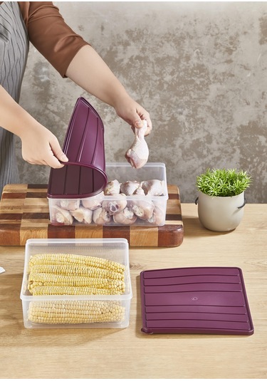 Selka Nora 2 Adet 4 Lt. Saklama Kabı Açık Gri