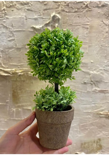 Zümrüt Yeşili İkili Topiary Aranjman 24 Cm X 10 Cm Yeşil