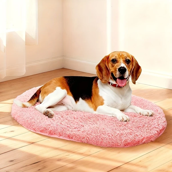 Elmpaly Mavi Ekstra Büyük Evcil Hayvan Yatağı: Yumuşak, Sıcak, Kaymaz Taban, İç/dış Kullanım